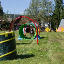 index 1900px 20250906 img