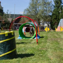 index 1900px 20250906 img