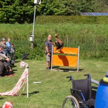 index 1900px 20250906 img