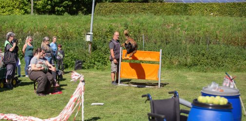 index 1900px 20250906 img