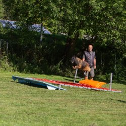 index 1900px 20250906 img