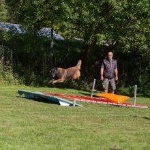 index 1900px 20250906 img