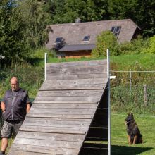 index 1900px 20250906 img