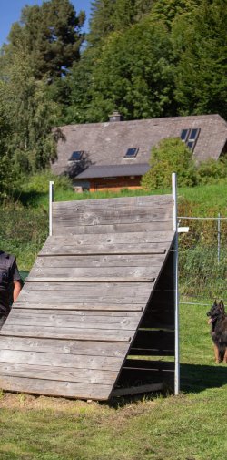 index 1900px 20250906 img