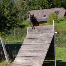 index 1900px 20250906 img