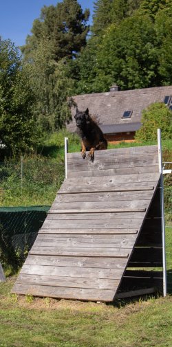 index 1900px 20250906 img