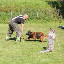 index 1900px 20250906 img