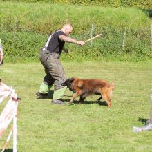 index 1900px 20250906 img