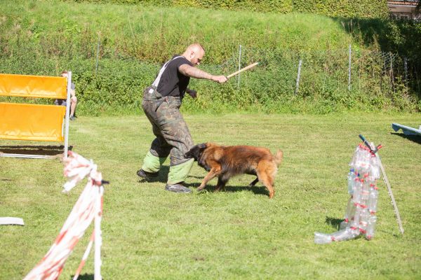 index 1900px 20250906 img