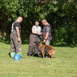 index 1900px 20250906 img