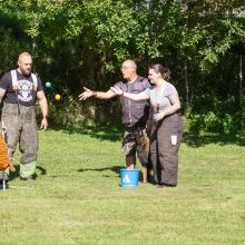 index 1900px 20250906 img