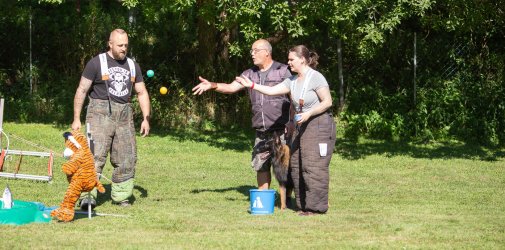 index 1900px 20250906 img