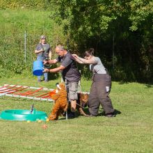 index 1900px 20250906 img