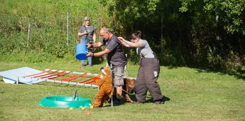 index 1900px 20250906 img