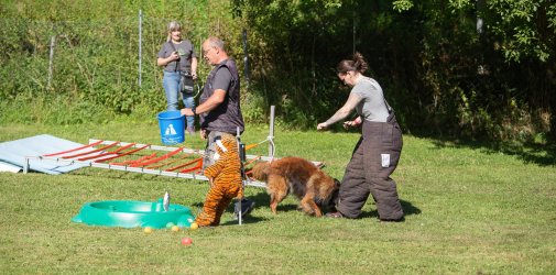 index 1900px 20250906 img