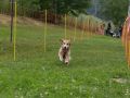 20230611 img 2364 verbessert rr