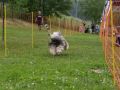 20230611 img 2369