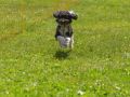 20230611 img 2442