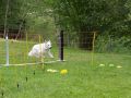 20230611 img 2471