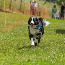 20230611 img 2610