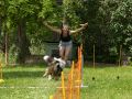 20230611 img 2640
