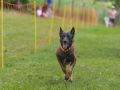 20230611 img 2664