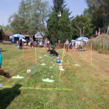 20240901 img 3569