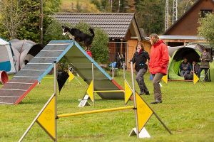 Agility Seminar mit Uschi Hornung 2024