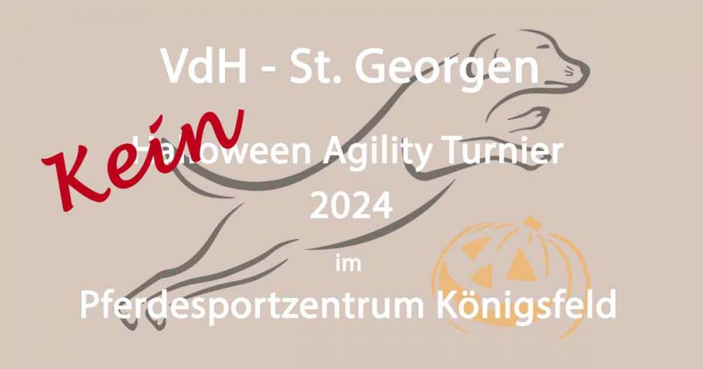 Halloween Agility Turnier 2024
