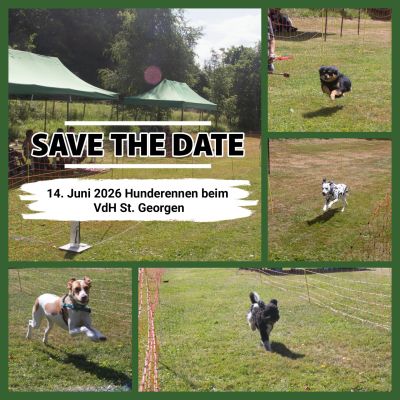 Hunderennen 2026