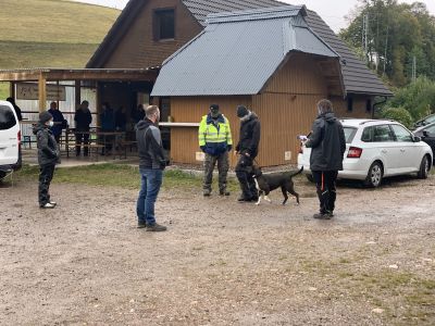 Begleithundeprüfung 2021